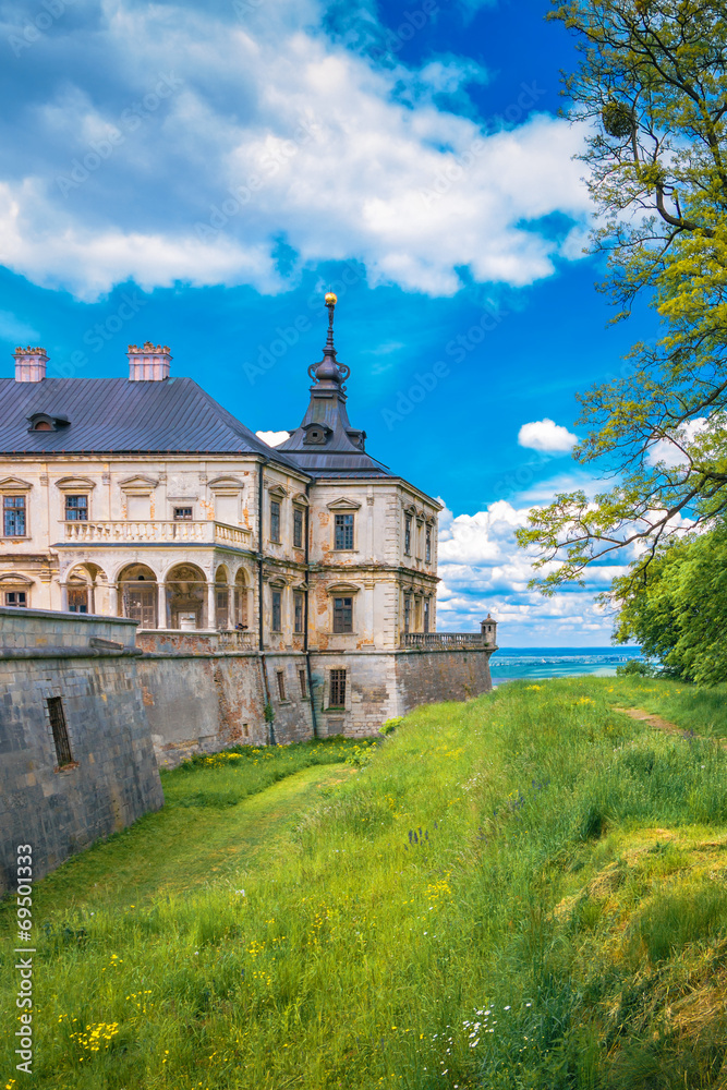 View of the castle Podgoretsky