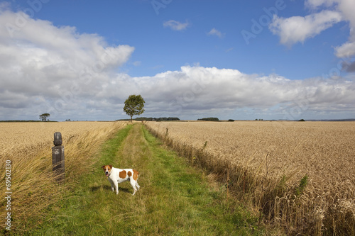 long distance footpath in summer