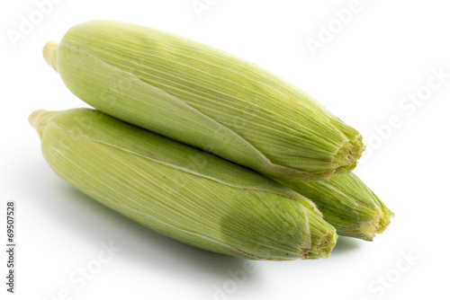 Wallpaper Mural Zuckermais Torontodigital.ca