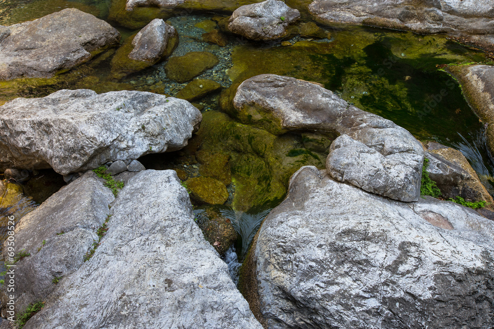 Stones covered with algae in the clear water Stones covered with algae in the clear water