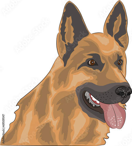 vector Shepherd