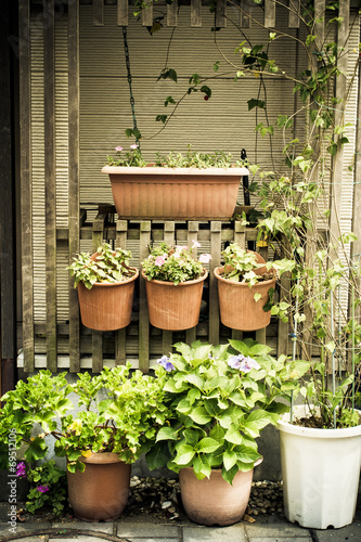 Fototapeta Naklejka Na Ścianę i Meble -  Flower pot with vintage filter style.
