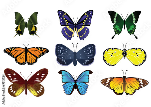 Butterflies