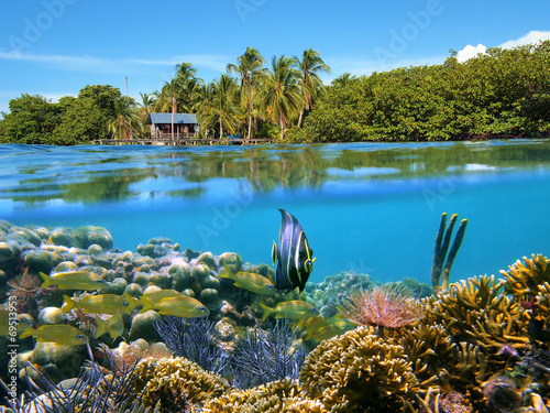 Surface and underwater view with coral reef fish