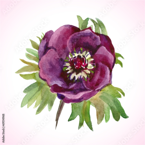 watercolor flower