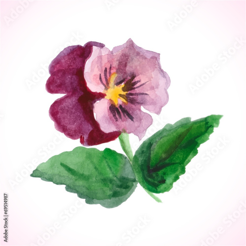 watercolor flower