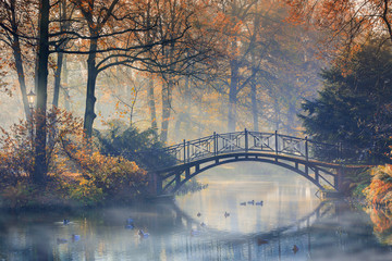 Keuken achterwand Romantische stijl Autumn - Old bridge in autumn misty park  © Gorilla