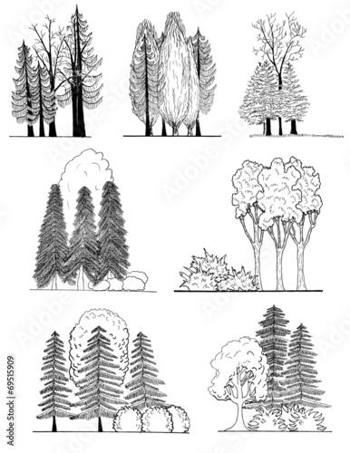 A set of tree silhouettes , for architectural  design