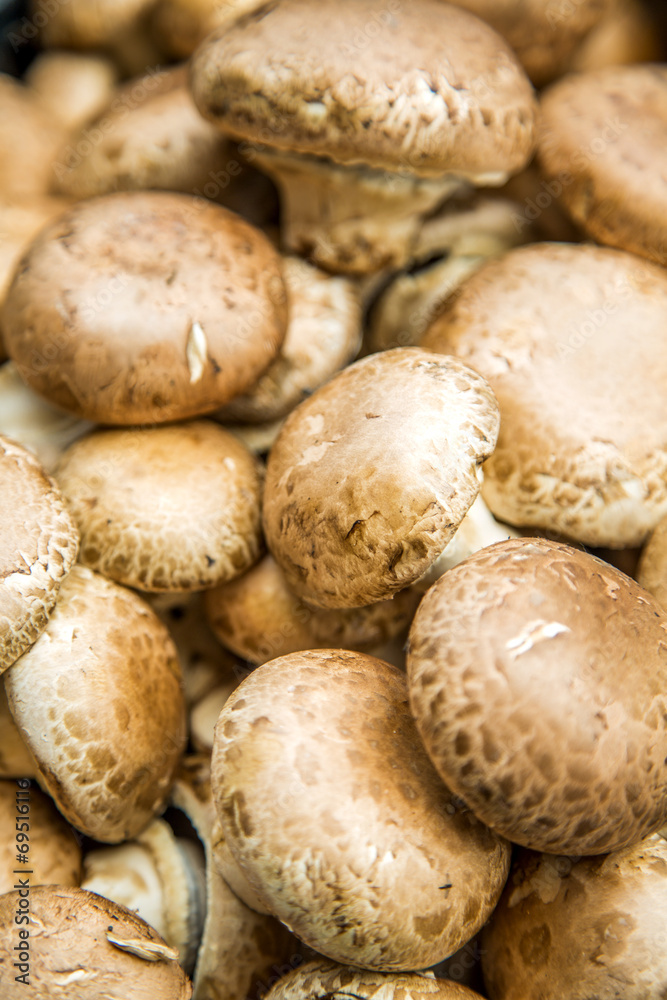 Mushrooms Mushrooms