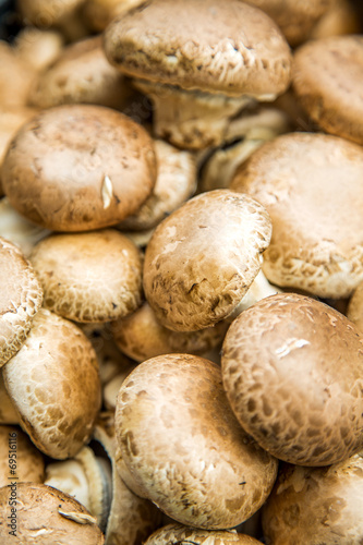Mushrooms