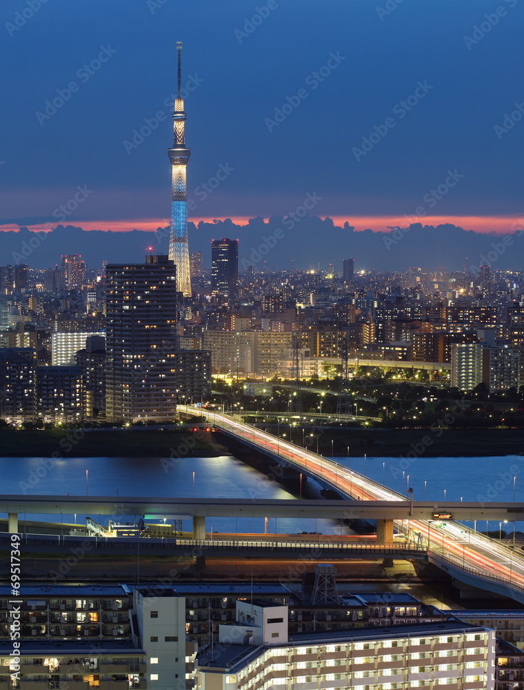 Naklejka premium piękny widok na miasto Tokio z drzewa Tokio niebo w czasie zachodu słońca