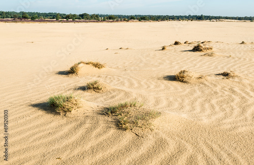 Small sand drifts in a nature reserve photo