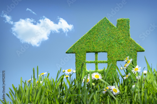 house from grass