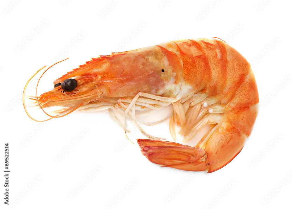 Boiled shrimp isolated on white background; Stock Photo Adobe Stock