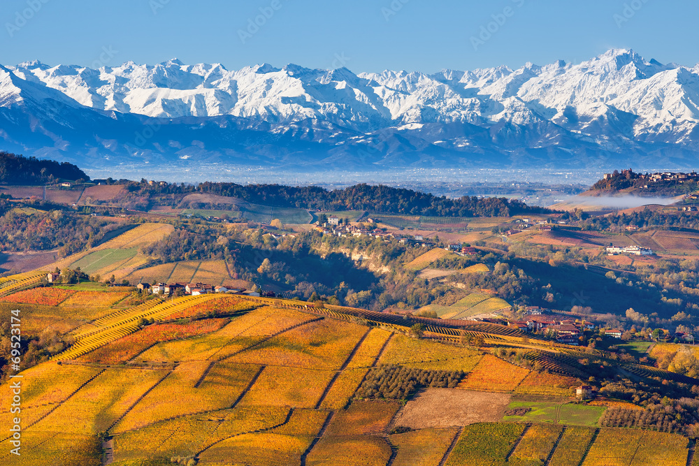 Autumnal hills and snowy mountains in Piedmont, Italy.