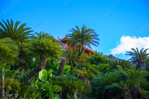 Green trees of Shuri Castle and blue sky