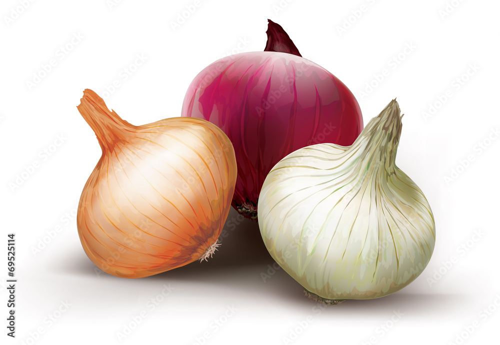 Onions of different colors