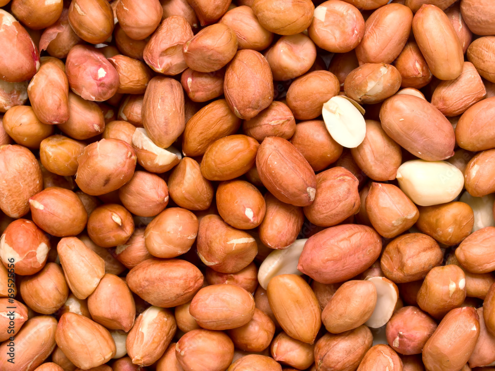 raw uncooked peanuts raw uncooked peanuts
