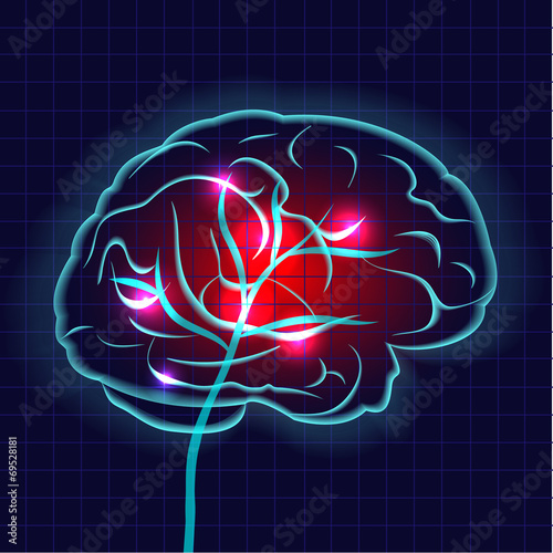 Human brain