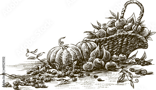 autumn harvest