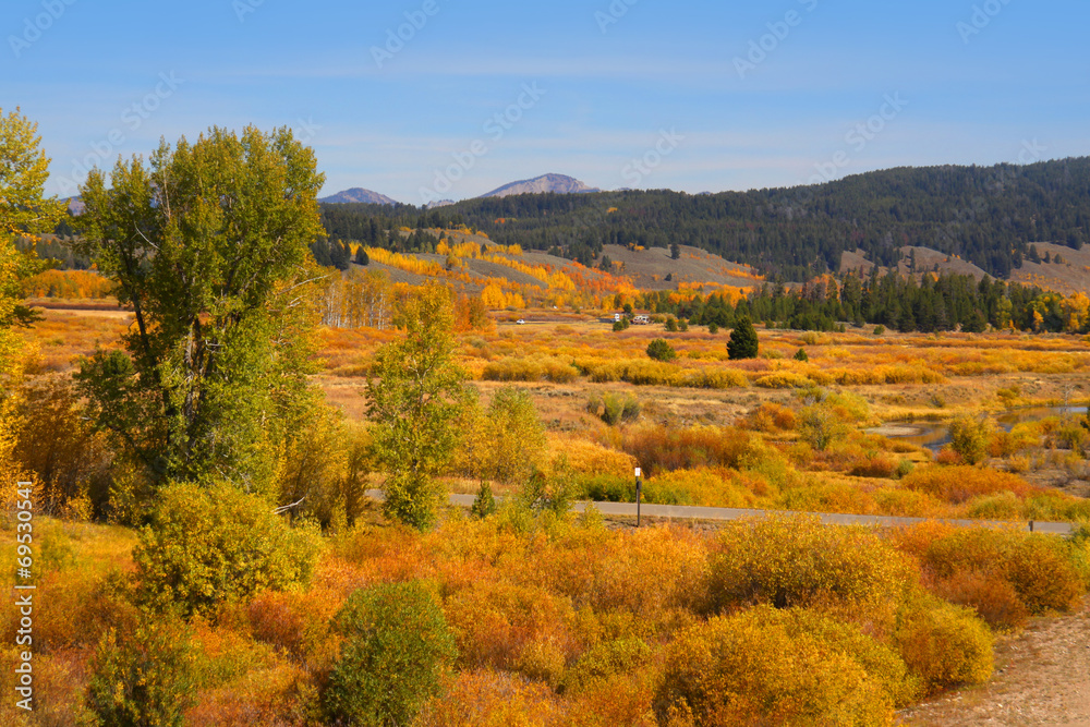 Autumn landscape in Yellowstone