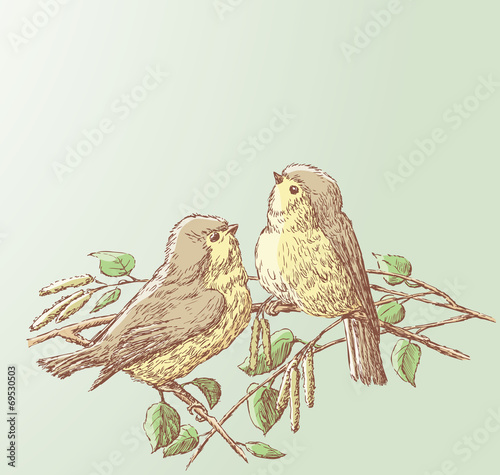 birds in the spring