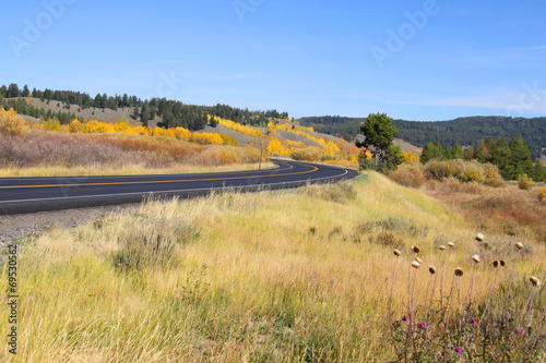 Scenic drive in yellowstone