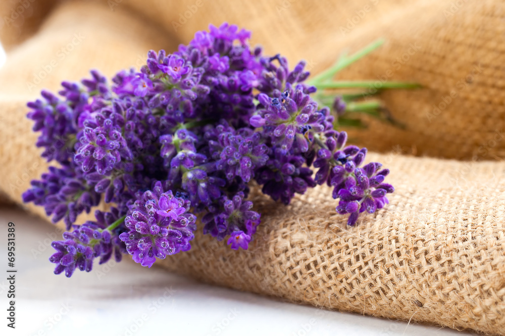 lavender flowers on the burlap, over white background