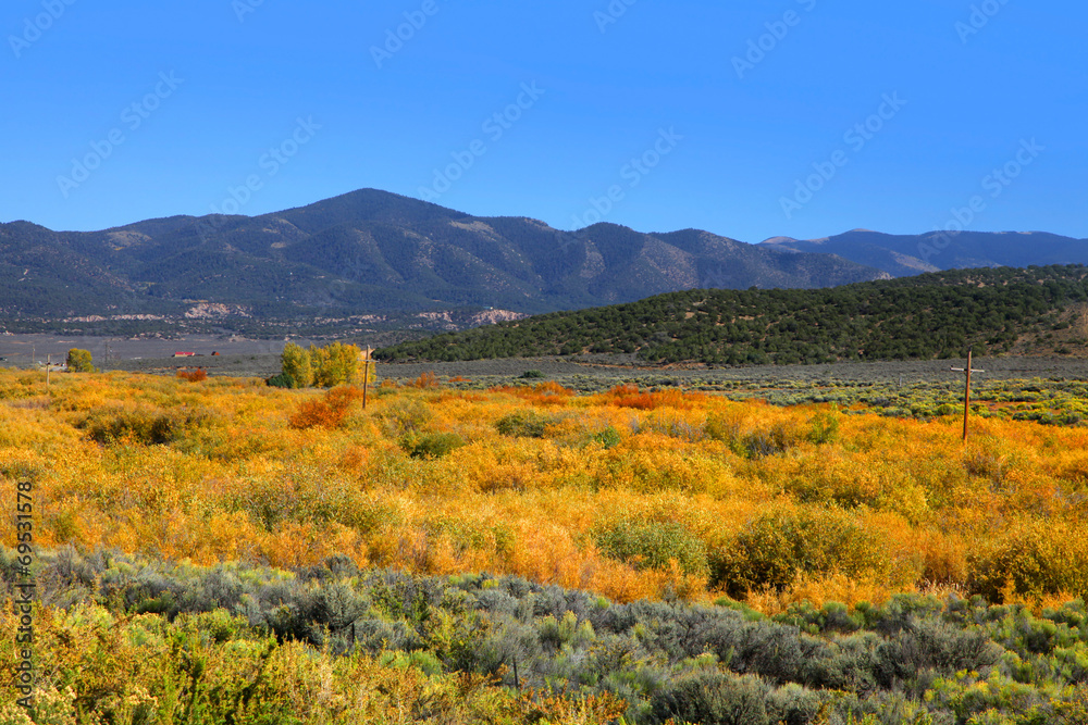 Colorado Fall foliage