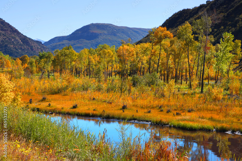 Obraz premium Colorful aspen trees by Gunnison river in Colorado