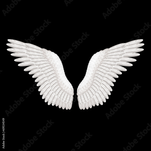 White wings on black vector illustration