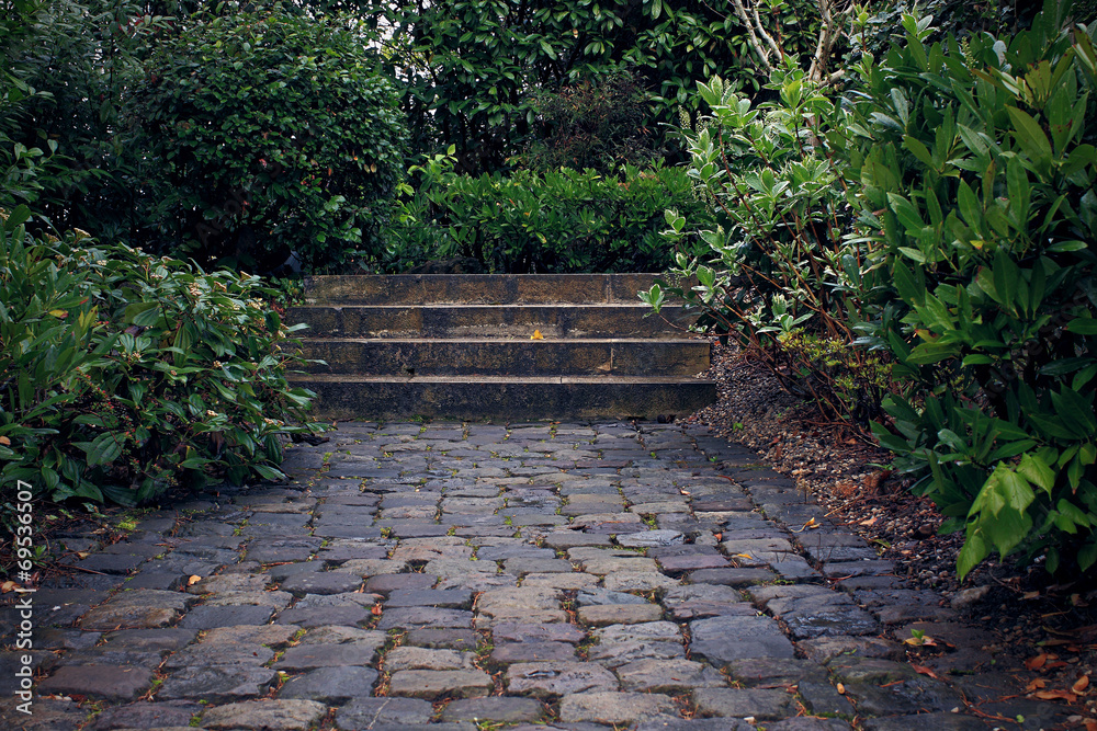 Stone steps in the old garden