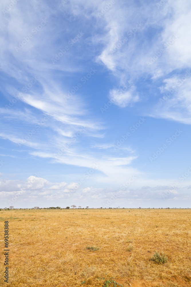 Obraz premium Tsavo East Landscape in Kenya