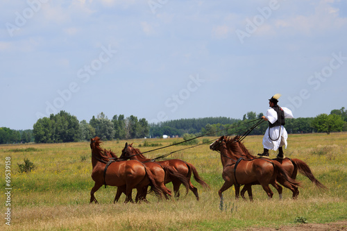 horse riding photo
