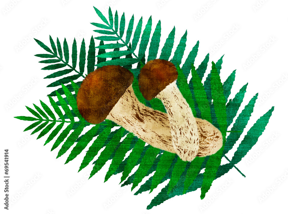 松茸 Stock イラスト Adobe Stock