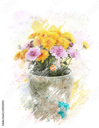 Watercolor Image Of  Autumn Chrysanthemums