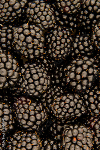 Blackberries