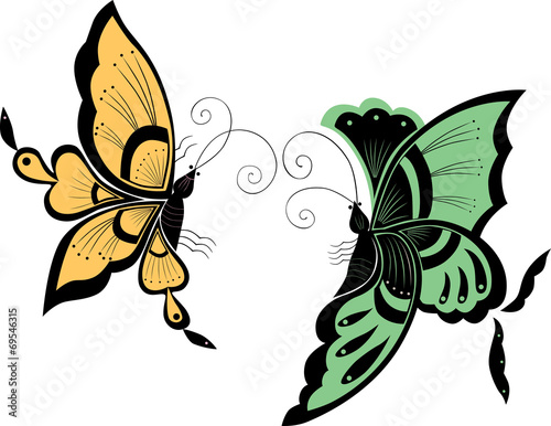 pair of the butterflies