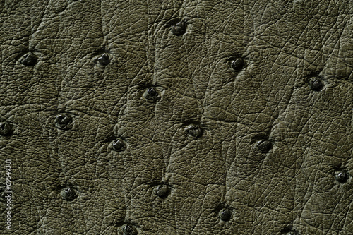 Closeup of seamless green leather texture
