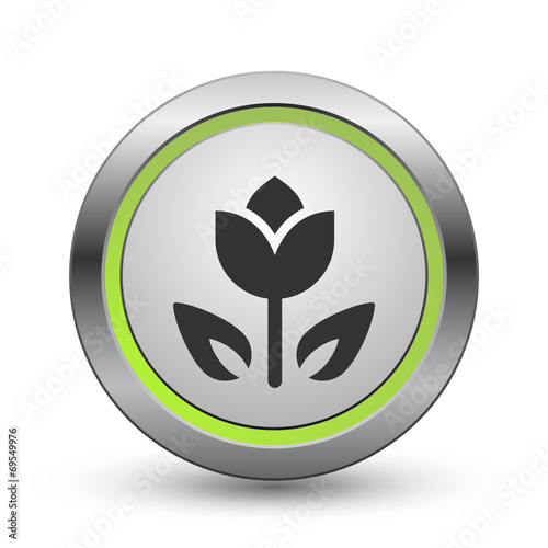 Chrome Vector Icon