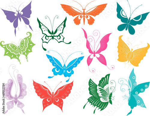 twelve butterflies