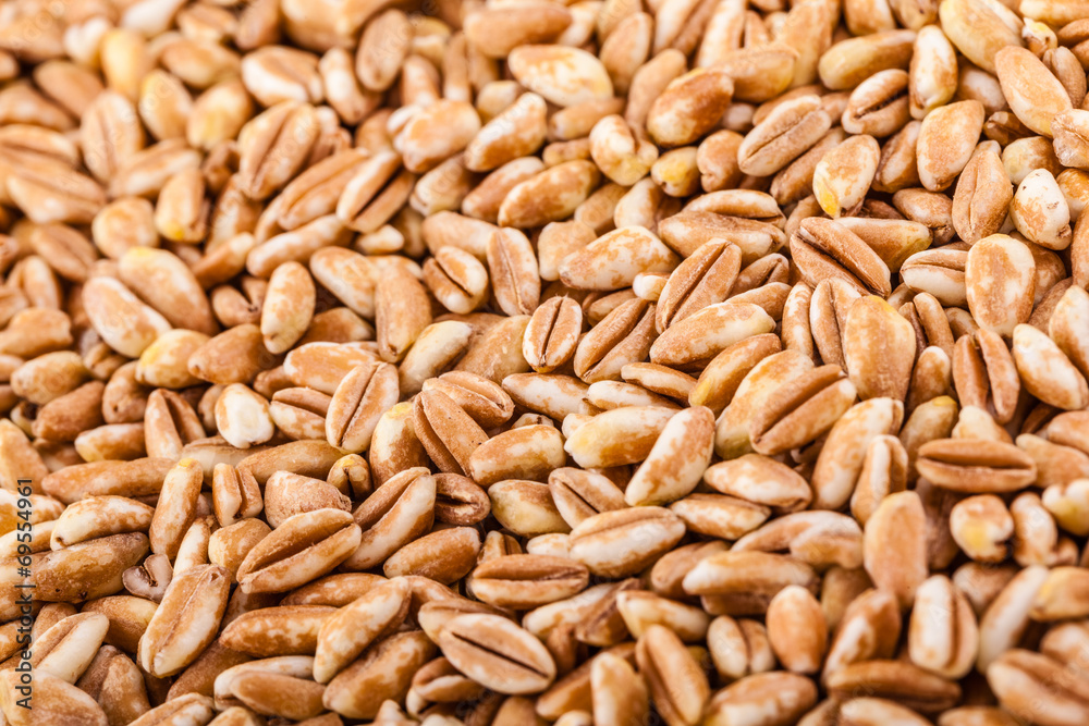 Spelt production Spelt production