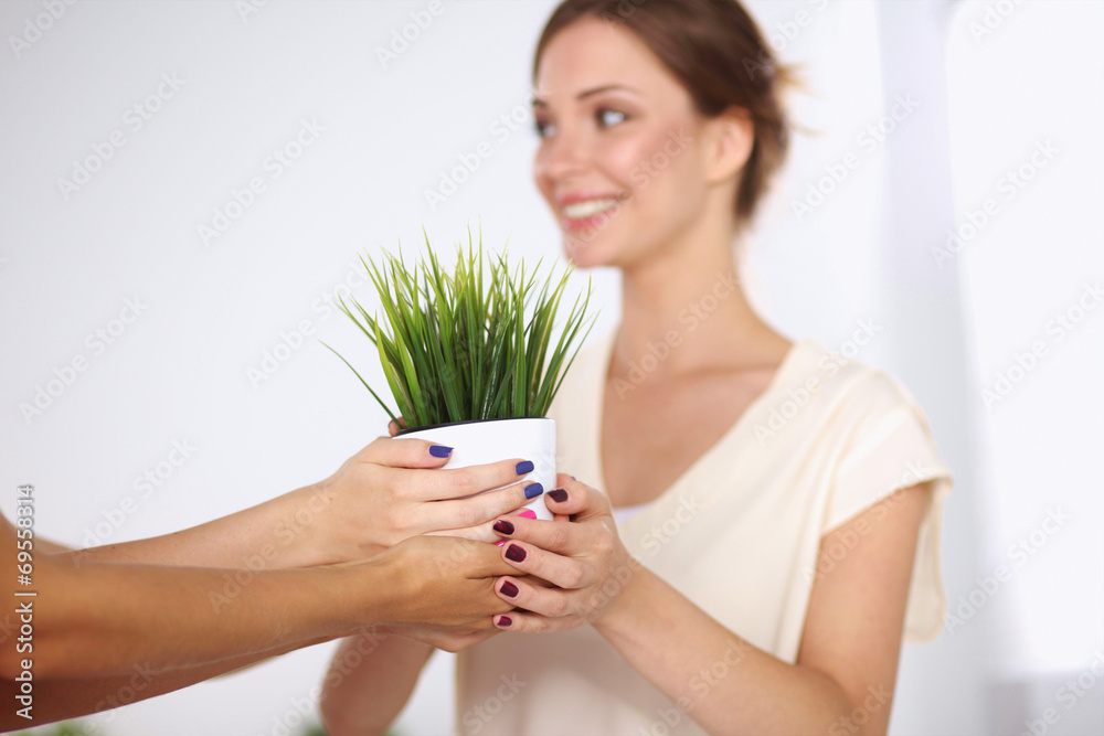 Closeup Of Businesspeople Hand Holding GrassTogether Closeup Of Businesspeople Hand Holding GrassTogether