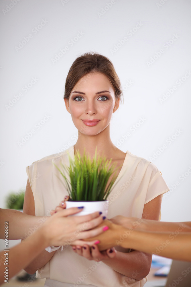 Closeup Of Businesspeople Hand Holding GrassTogether