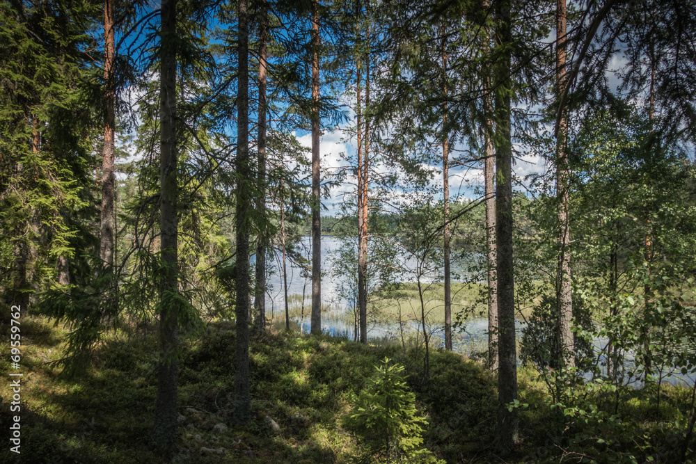 Obraz premium Swedish Lakeview