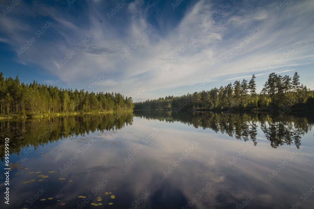 Swedish Lakeview