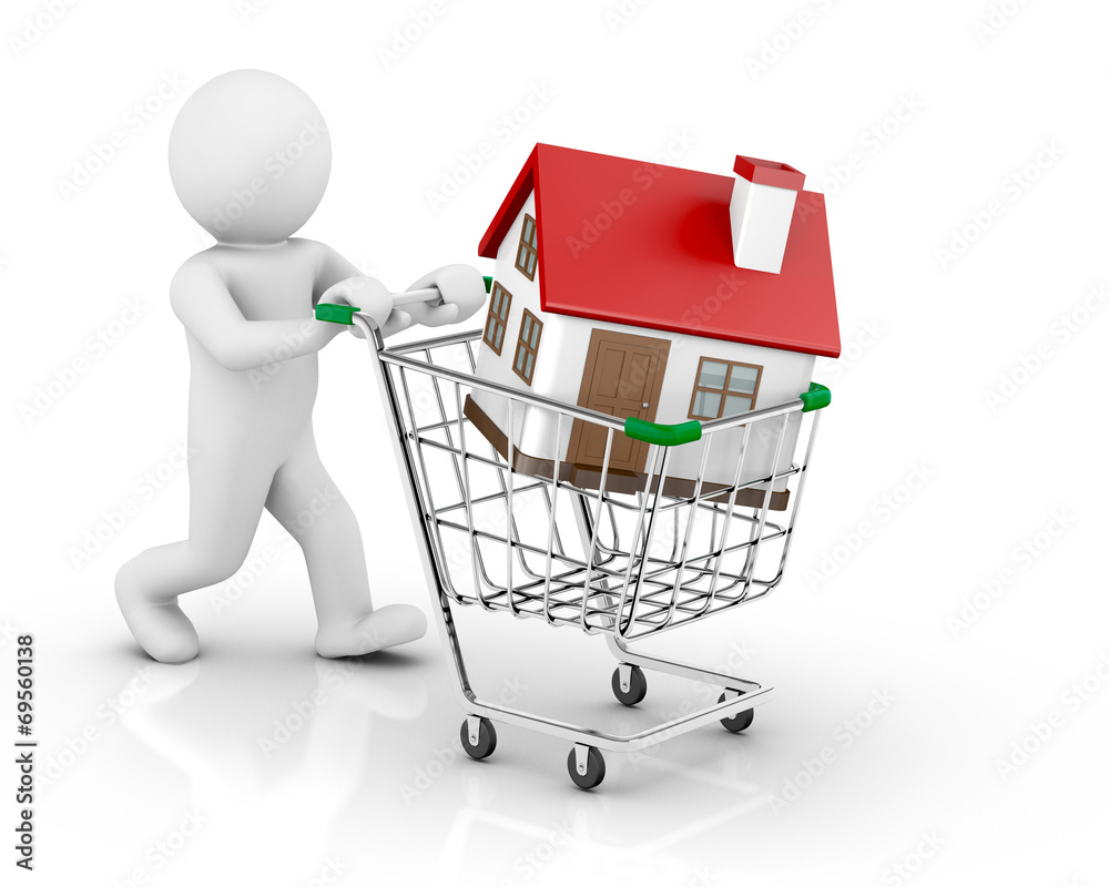 3d house in a shopping cart