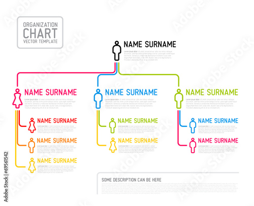 Vector modern organization chart template made from thin lines