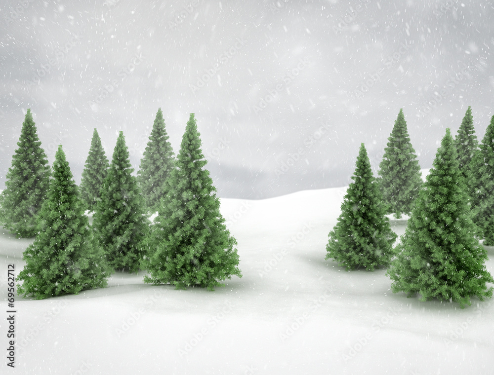 Fototapeta premium Pines trees winter scene