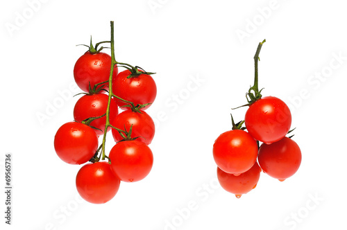 tomato sherry